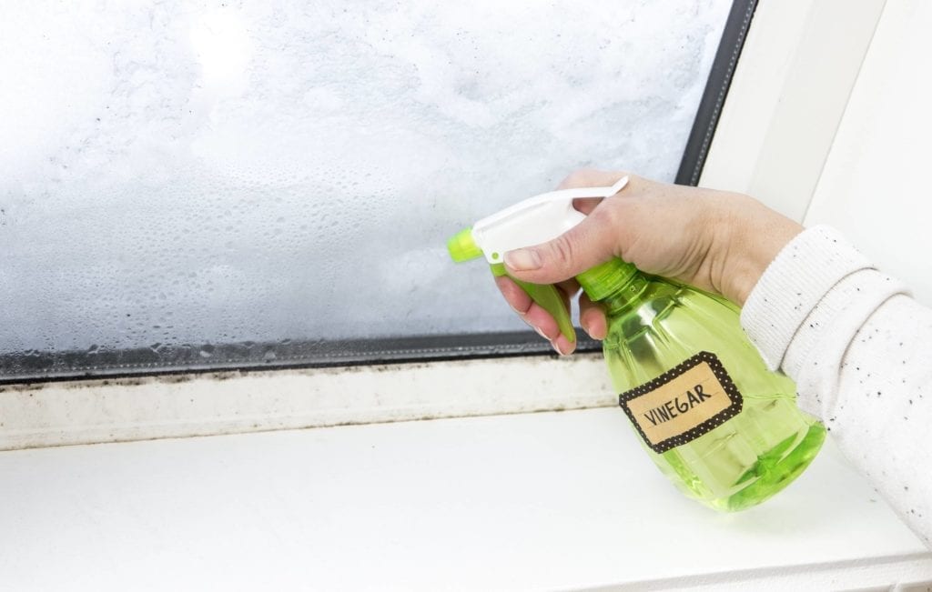 VInegar and water can get rid of mold in the attic