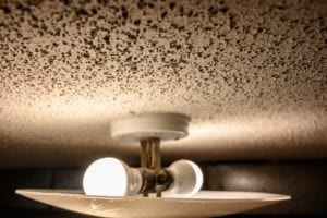 How To Clean A Popcorn Ceiling