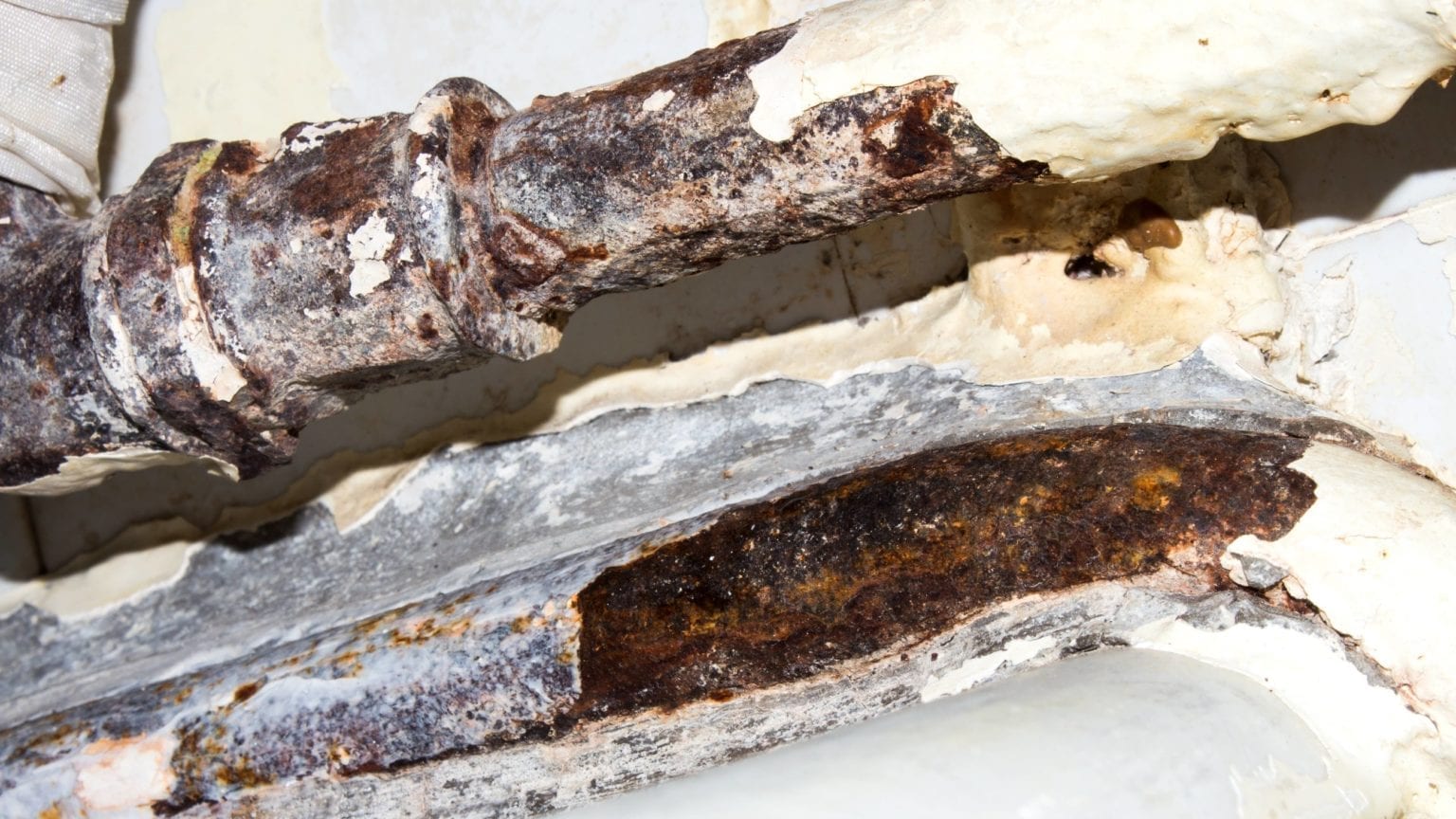 Why Does My Shower Drain Smell? Atkinson Inspection Services