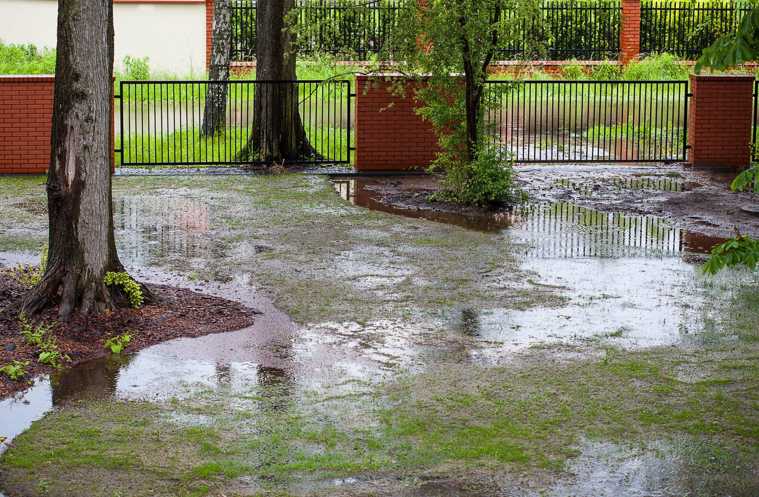 Landscaping to Keep Water Away From House