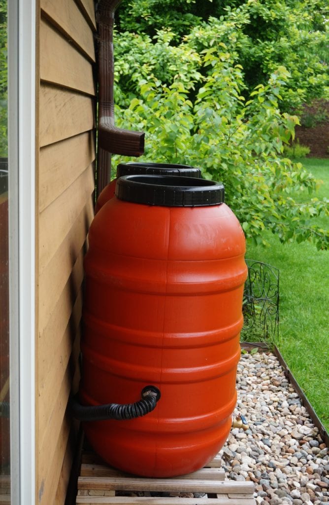 Rain barrel 