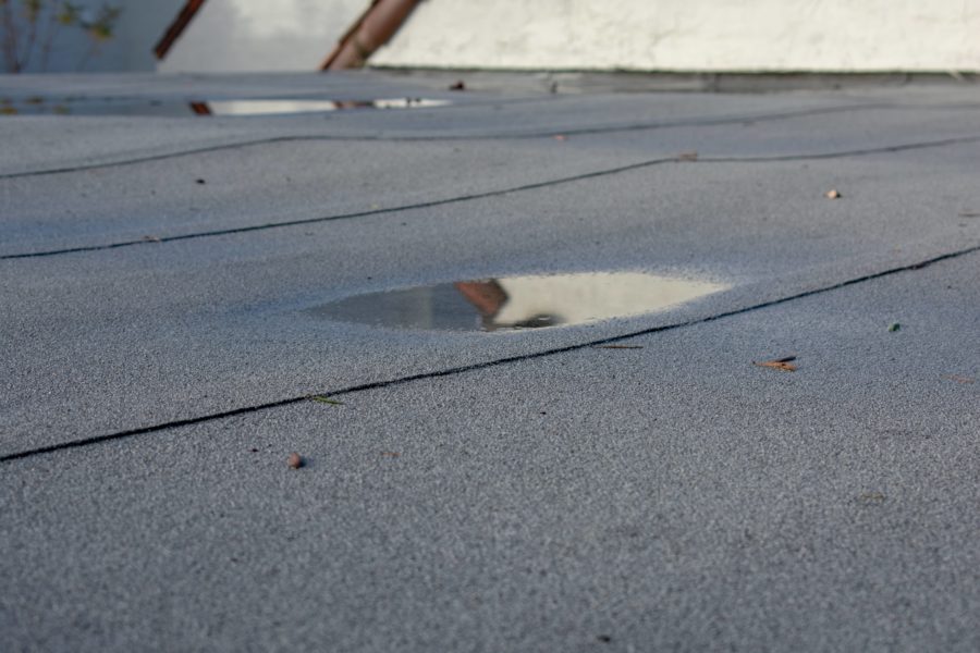 Leaking flat roof