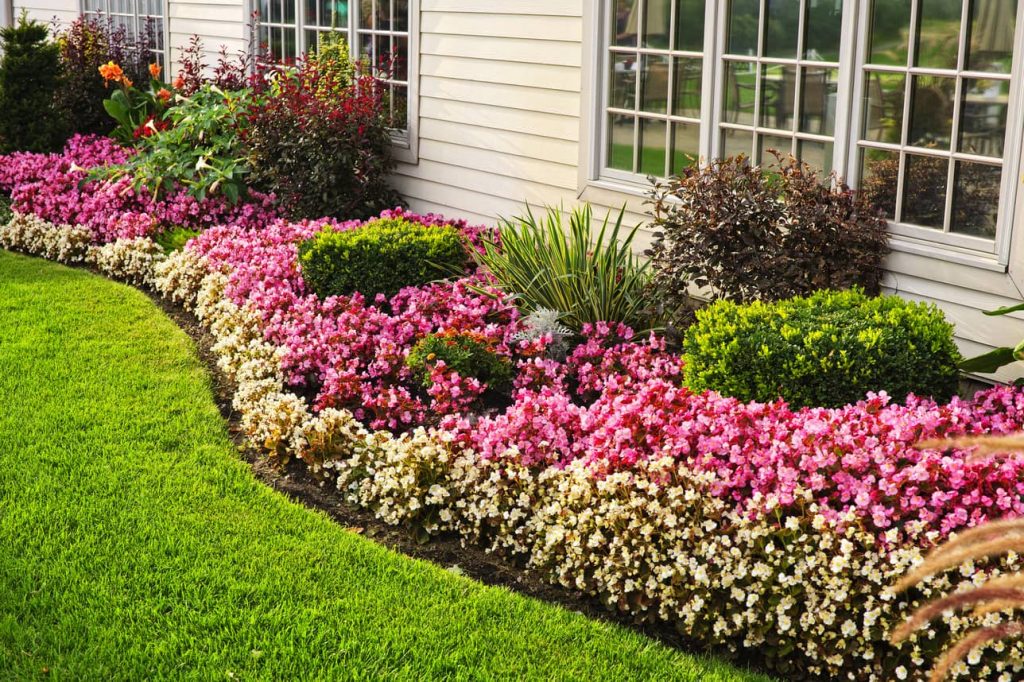 Flowers and dirt around the house and foundation. 