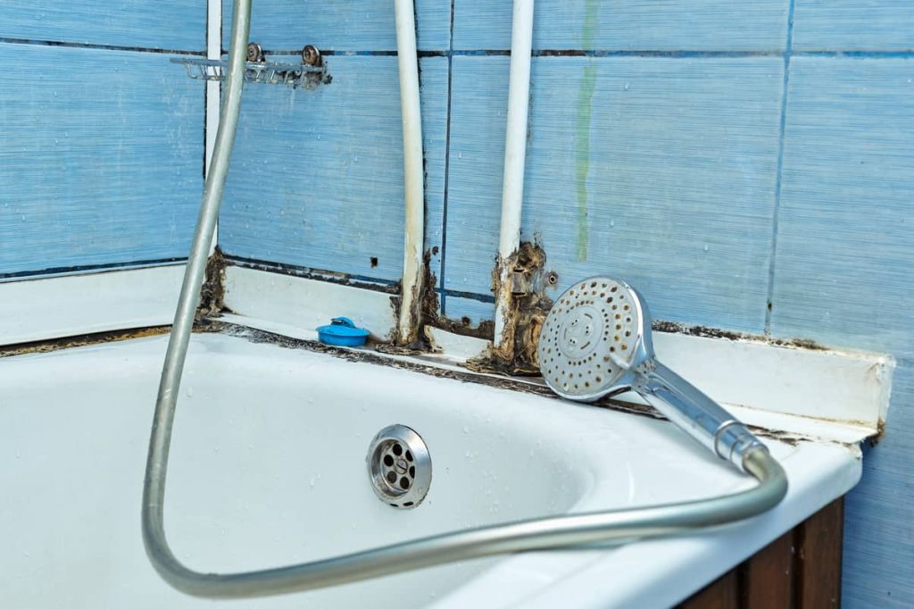 Moisture in the bathroom can cause mold.