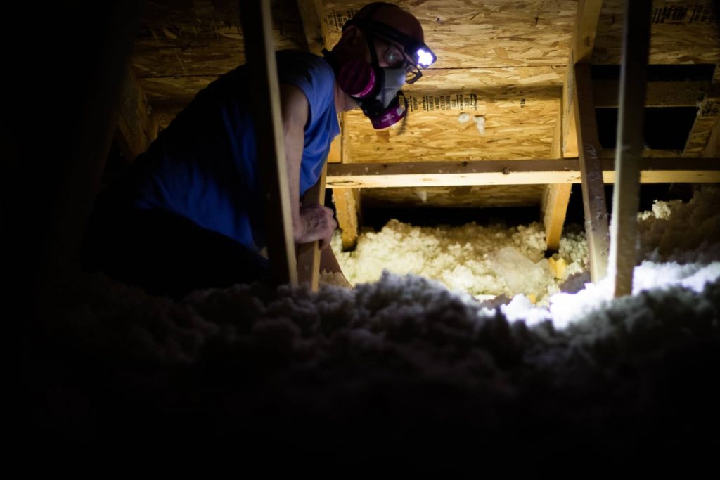 Insulation inspection in the attic to see if it is vermiculite.