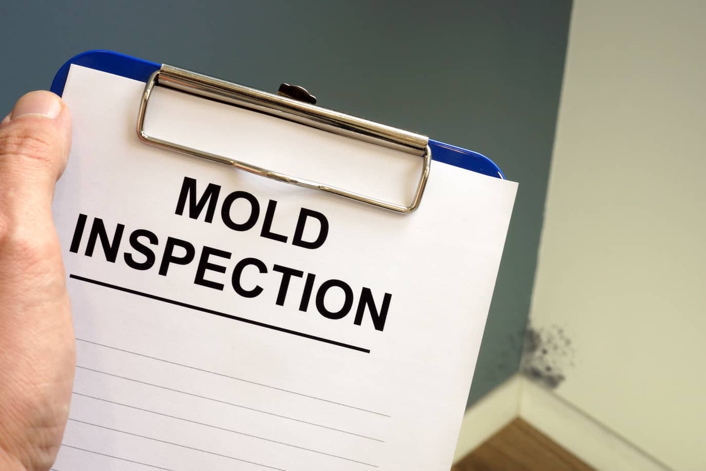 Get a mold inspection completed during your home inspection.