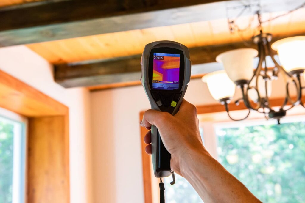 Have the home inspection team use thermal imaging to detect all possible mold spots.