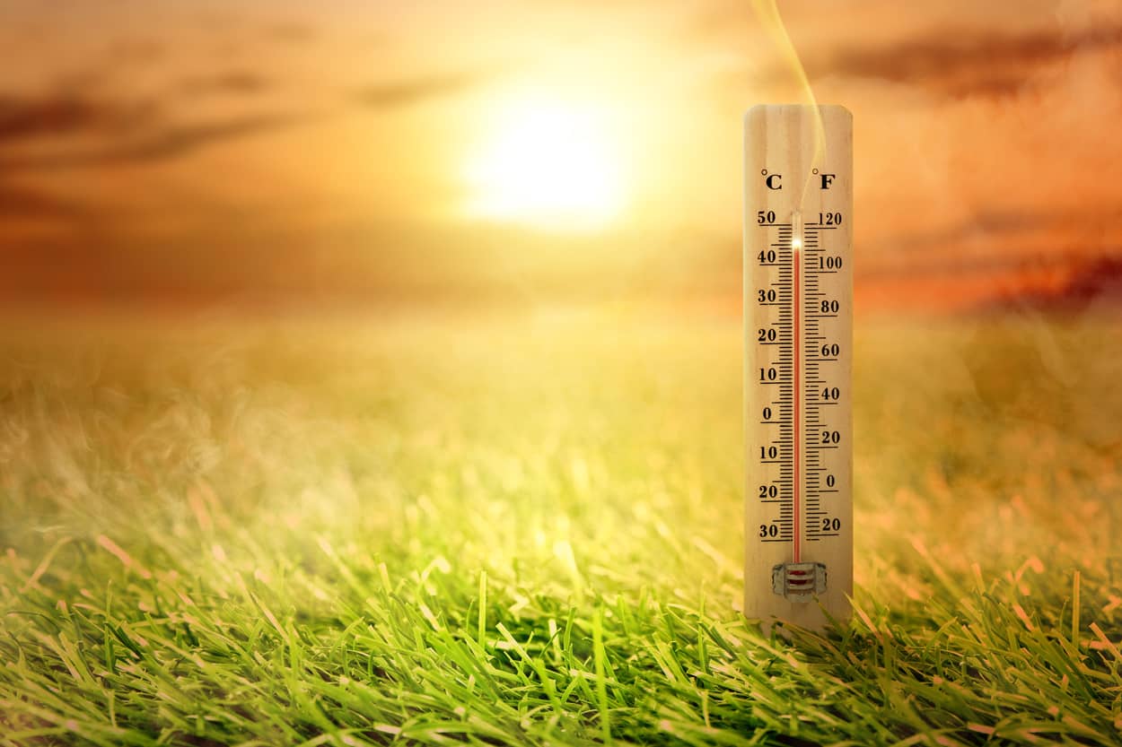 What Temperature Is Too Hot To Water Grass? Atkinson Inspection Services