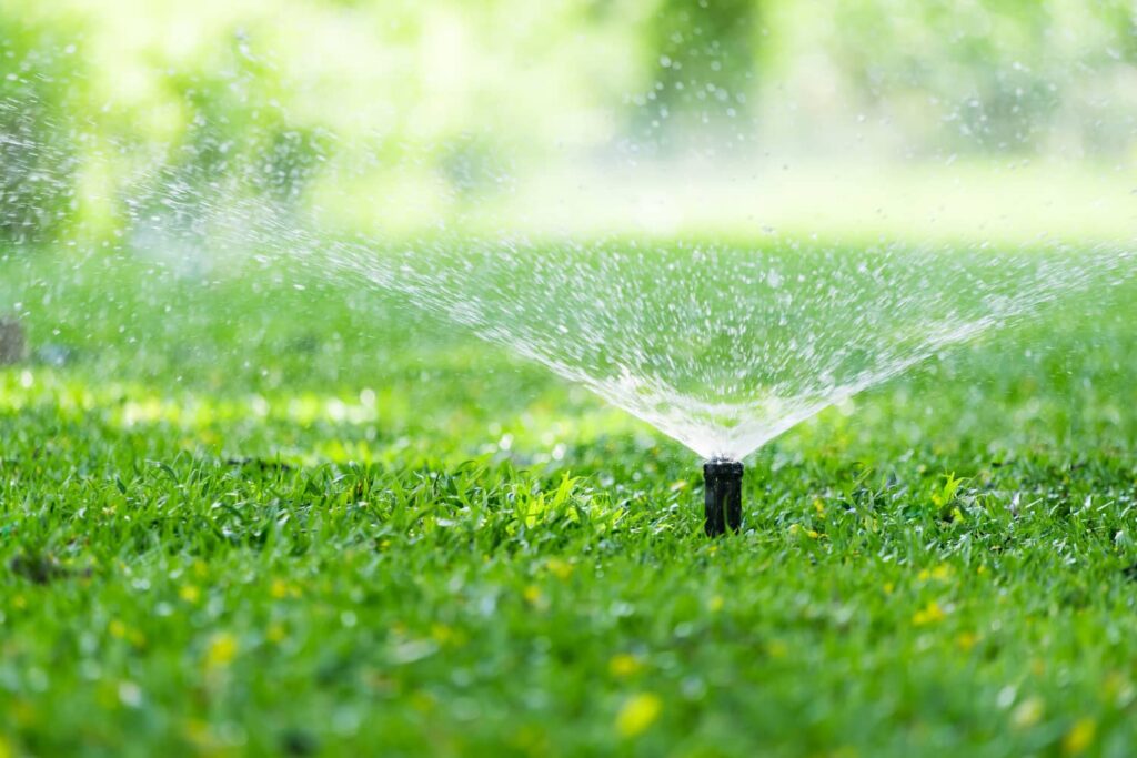 Recommended maintenance for how to water grass includes knowing ideal temperatures and times