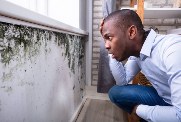 how long does black mold take to grow