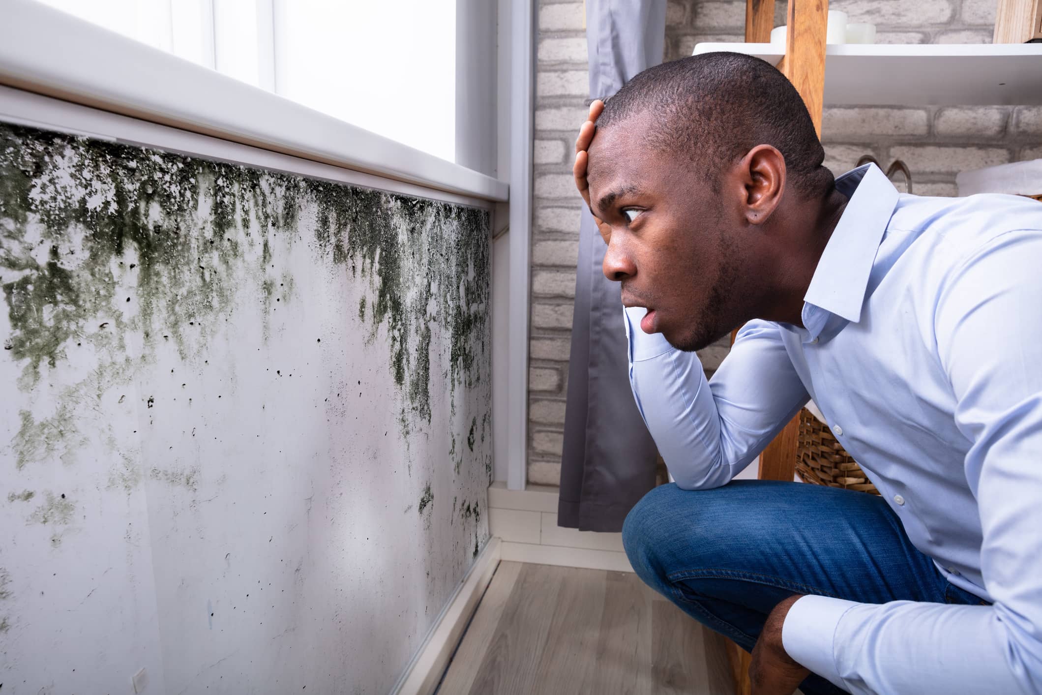 how long does black mold take to grow