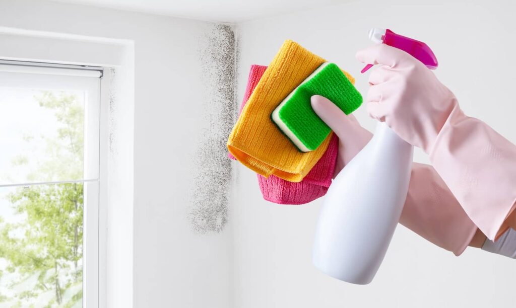 Mold doesn't directly cause cancer, but preventing it is still a safe practice.