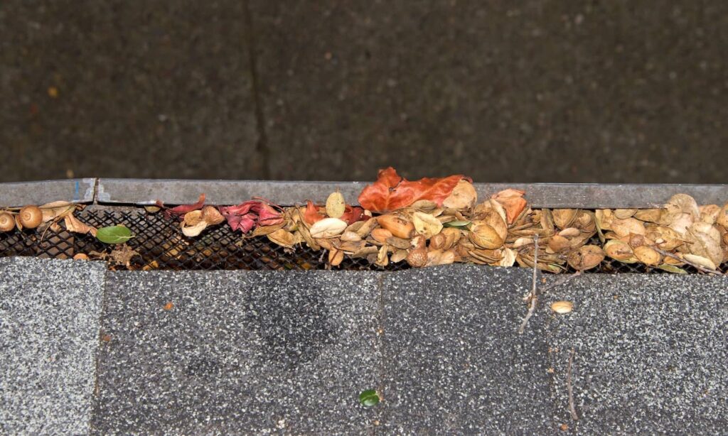 View of gutters with guards that still need a clean